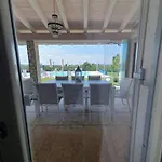 Willa Bardolino Golden Hill *